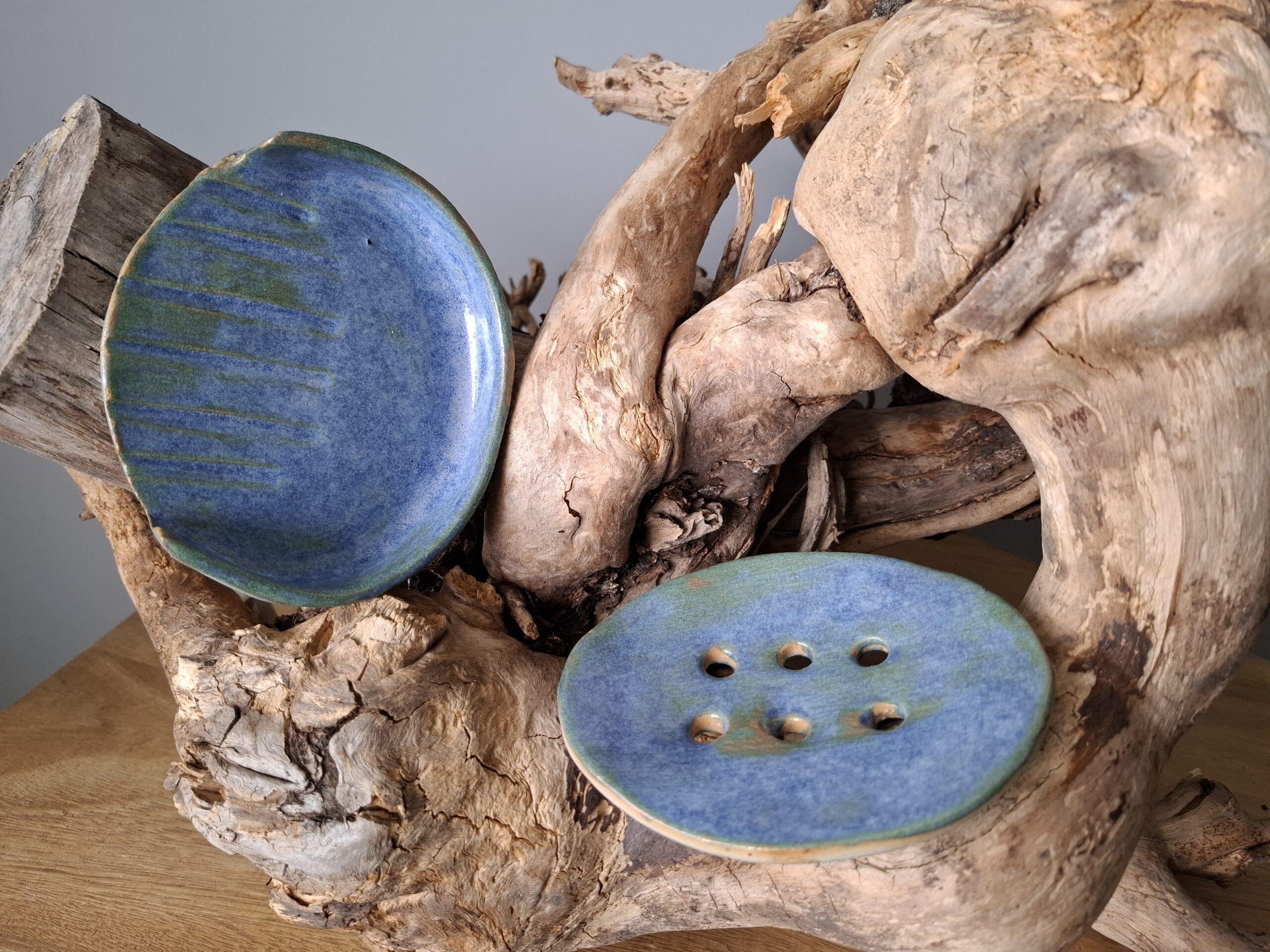 Morska mydelniczka - obrazek 3