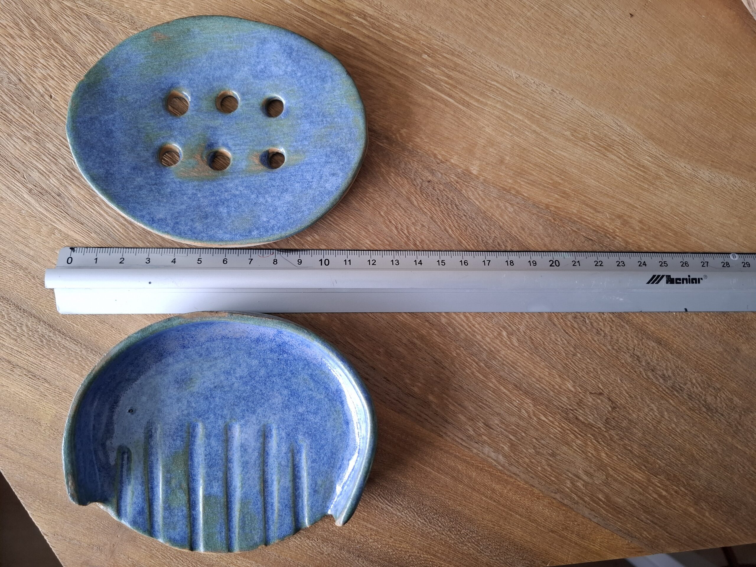 Morska mydelniczka - obrazek 5