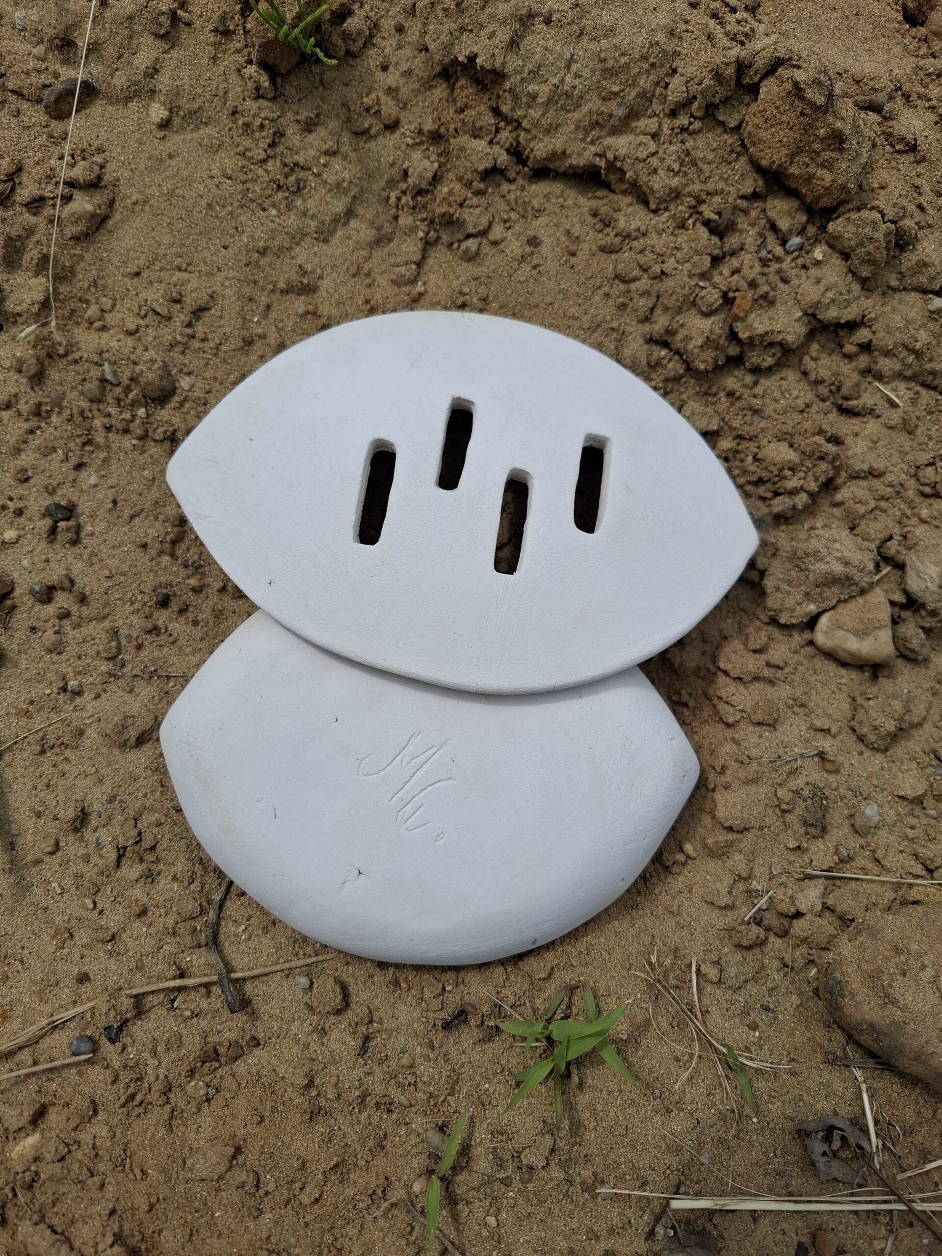 Mydelniczka przepiórka - obrazek 3