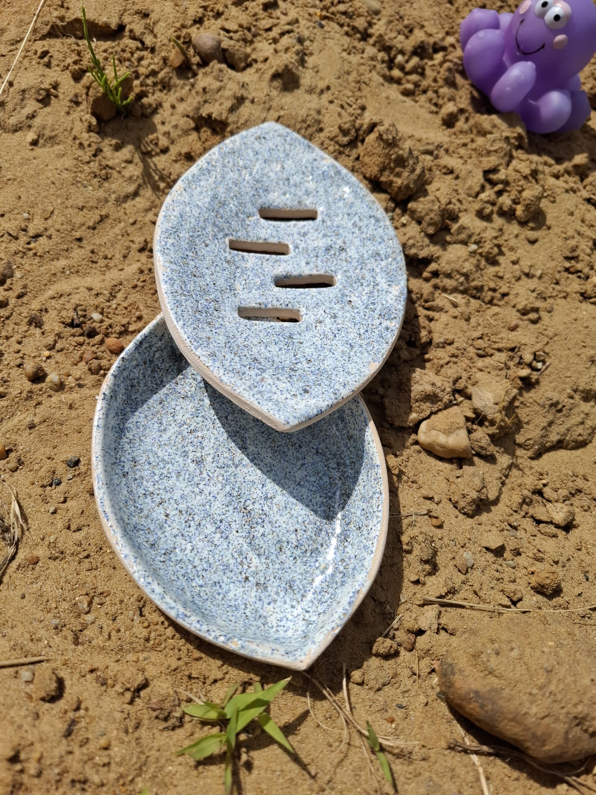 Mydelniczka przepiórka - obrazek 2