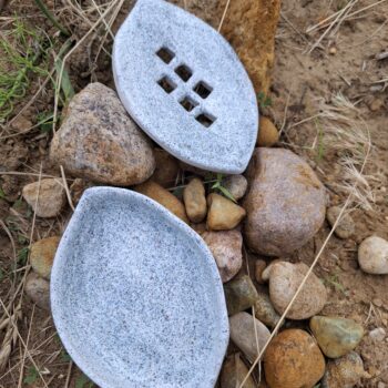 Mydelniczka przepiórka szara