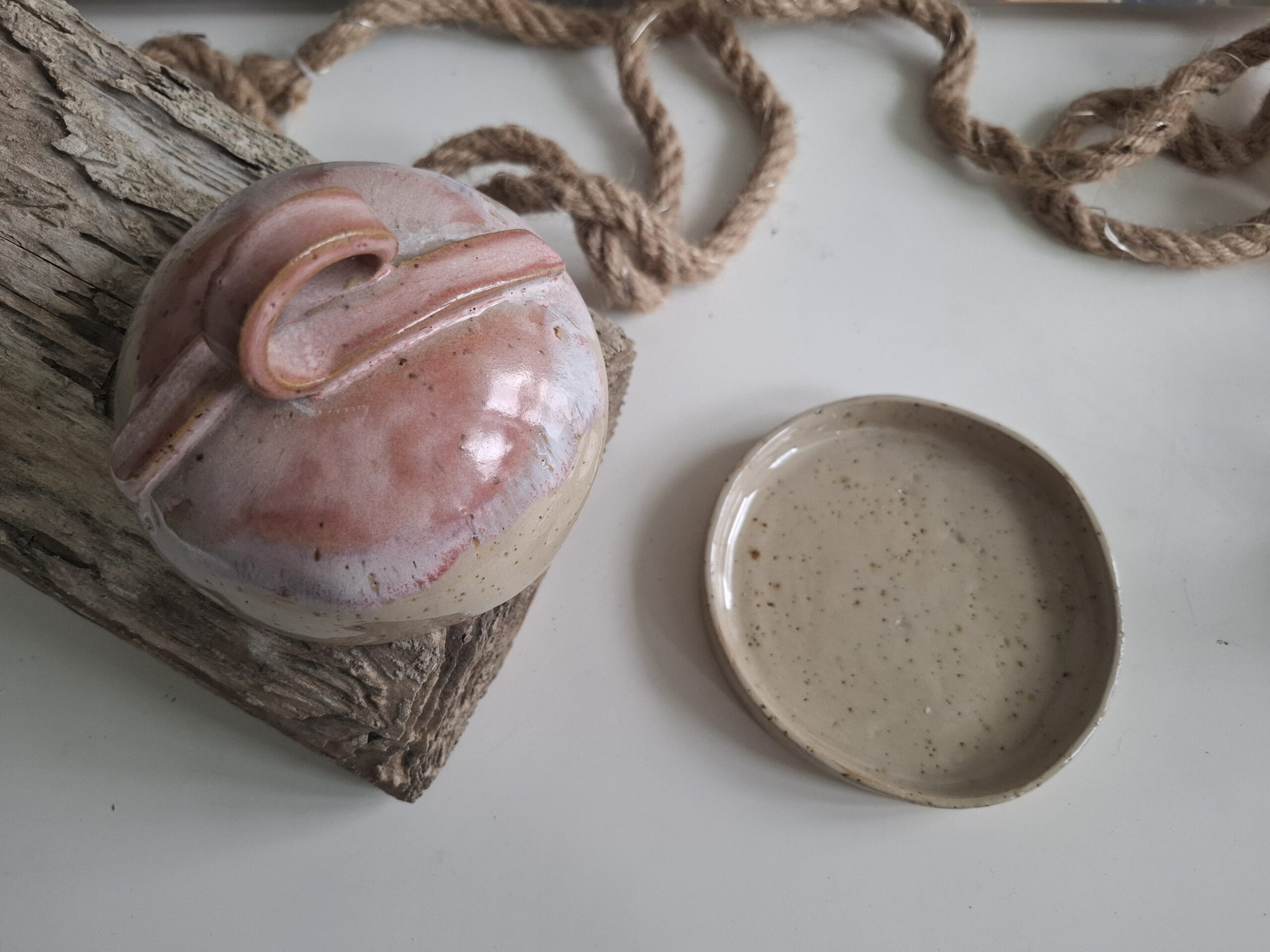 Maselniczka różowa - obrazek 3